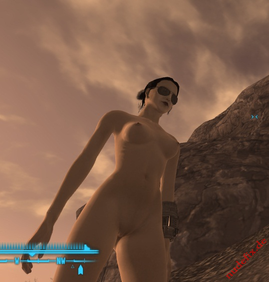 Fallout New Vegas 2 (by voodoo36)